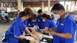 Veterinary Medical Mission