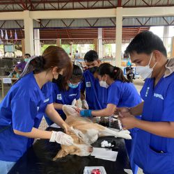 Veterinary Medical Mission