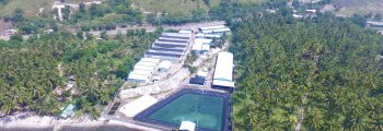 2007 : Investment and Start of Operation of Cebu Shrimp Hatchery Laboratory